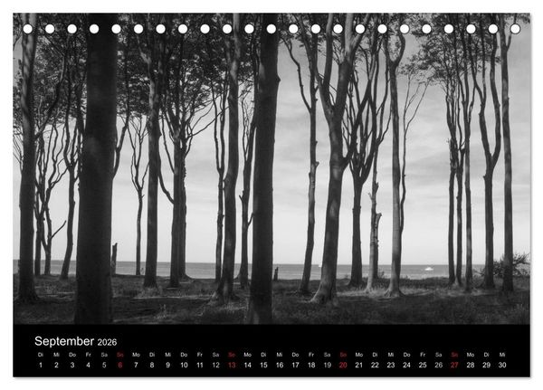Produktbild: B&auml;ume trees 2026 (Tischkalender 2026 DIN A5 quer), CALVENDO Monatskalender