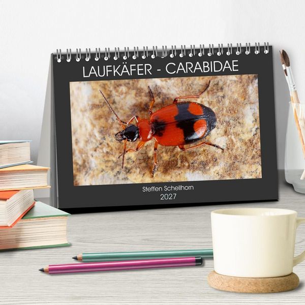 Produktbild: LAUFK&Auml;FER - CARABIDAE (Tischkalender 2027 DIN A5 quer), CALVENDO Monatskalender