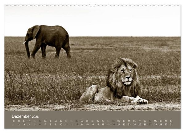 Produktbild: Wildes Afrika (hochwertiger Premium Wandkalender 2026 DIN A2 quer), Kunstdruck in Hochglanz