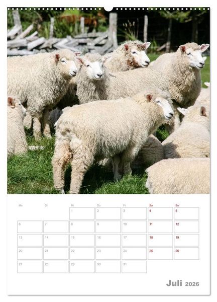 Produktbild: Kalenderplaner g'day Neuseeland 2026 (hochwertiger Premium Wandkalender 2026 DIN A2 hoch), Kunstdruck in Hochglanz