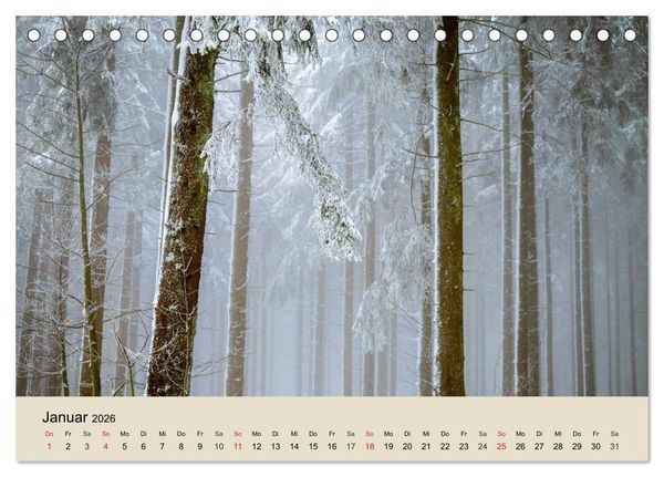 Produktbild: Der Wald. Durch zauberhafte Waldlandschaften (Tischkalender 2026 DIN A5 quer), CALVENDO Monatskalender