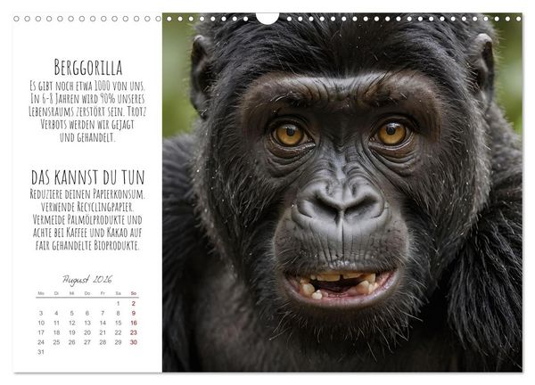 Produktbild: Wir sind die Letzten hier! Wir sterben aus. Wie du uns helfen kannst! (Wandkalender 2026 DIN A3 quer), CALVENDO Monatskalender