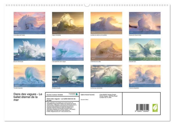 Produktbild: Dans des vagues - Le ballet &eacute;ternel de la mer (Calendrier mural 2026 DIN A2 vertical) calendrier de bureau