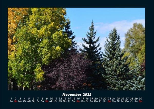 Produktbild: B&auml;ume 2025 Fotokalender DIN A4