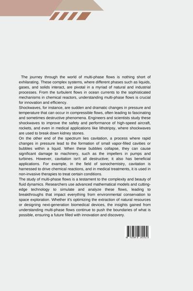 Produktbild: Shockwave Fragmentation of Liquids: A Modeling Challenge