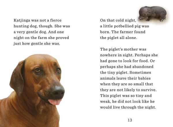 Produktbild: The Dog and the Piglet