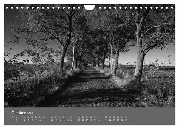 Produktbild: Ostsee - von schwarz bis wei&szlig; (Wandkalender 2027 DIN A4 quer), CALVENDO Monatskalender