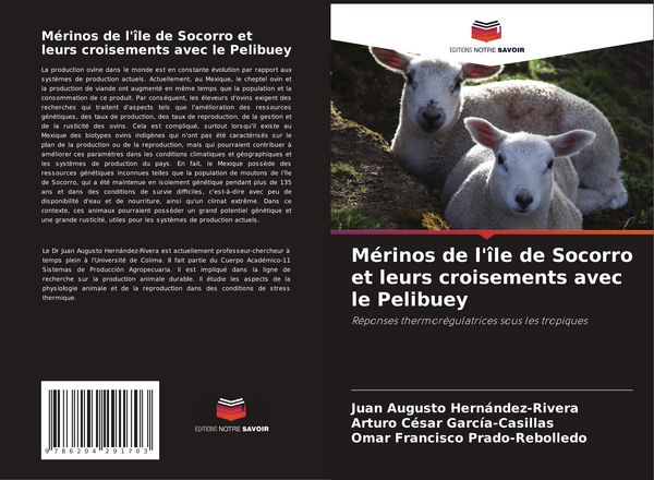 Produktbild: M&eacute;rinos de l'&icirc;le de Socorro et leurs croisements avec le Pelibuey