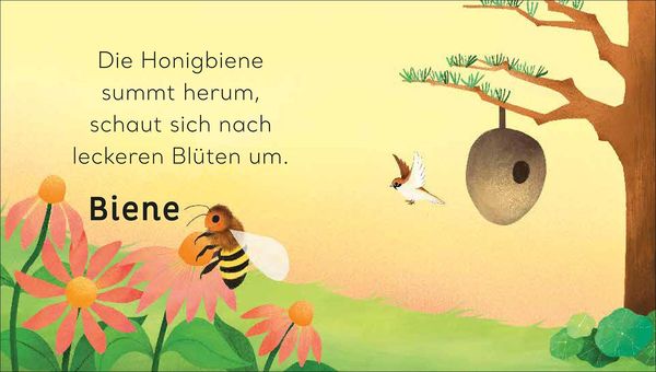 Produktbild: Eine kleine Welt im Garten