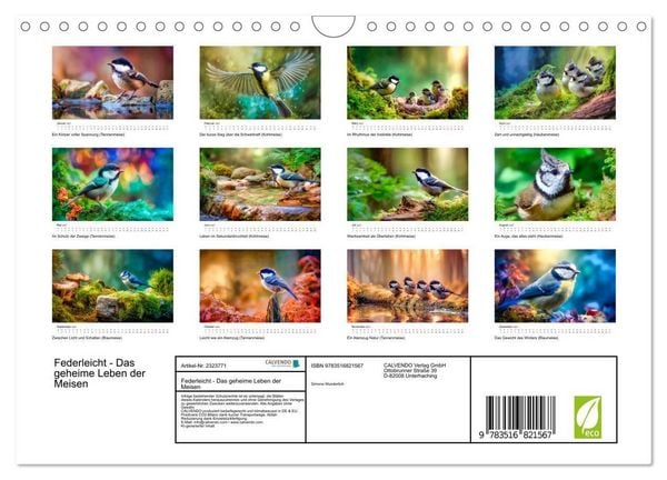 Produktbild: Federleicht - Das geheime Leben der Meisen (Wandkalender 2027 DIN A4 quer), CALVENDO Monatskalender