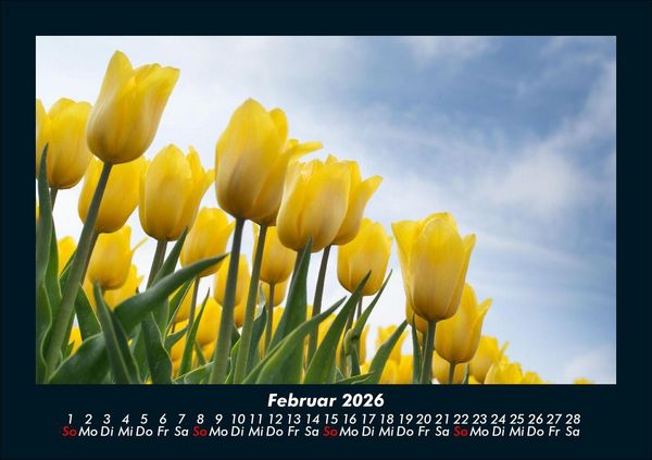 Produktbild: Blumenkalender 2026 Fotokalender DIN A5