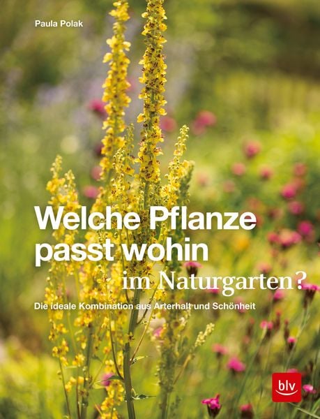 Welche Pflanze passt wohin im Naturgarten?, Gebundene Ausgabe von Paula Polak, BLV ein Imprint von GRÄFE UND UNZER Verlag GmbH, 9783967470048