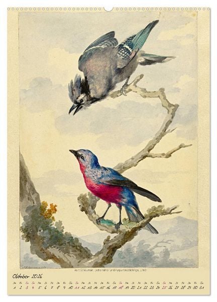 Produktbild: Aert Schouman. V&Ouml;GEL (hochwertiger Premium Wandkalender 2026 DIN A2 hoch), Kunstdruck in Hochglanz