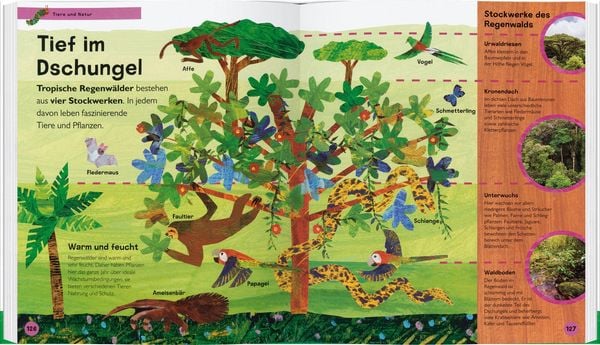 Produktbild: Die kleine Raupe Nimmersatt - Mein Lexikon