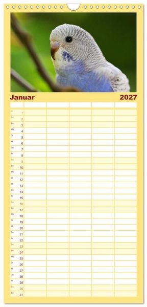 Produktbild: Familienplaner 2027 - Wellensittichkalender! - Das Original mit 5 Spalten (Wandkalender, 21 x 45 cm) CALVENDO