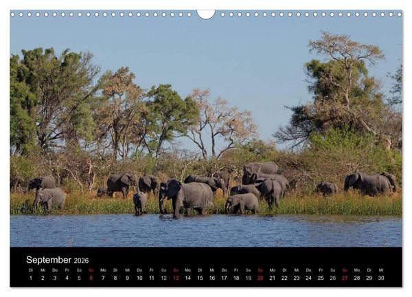Produktbild: Naturerlebnis Botswana (Wandkalender 2026 DIN A3 quer), CALVENDO Monatskalender