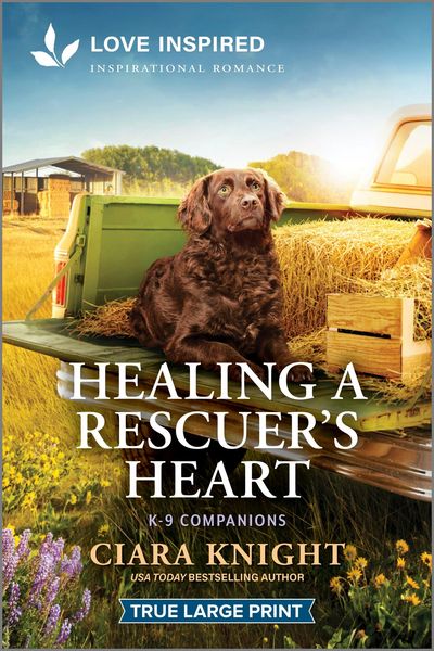 Produktbild: Healing a Rescuer's Heart