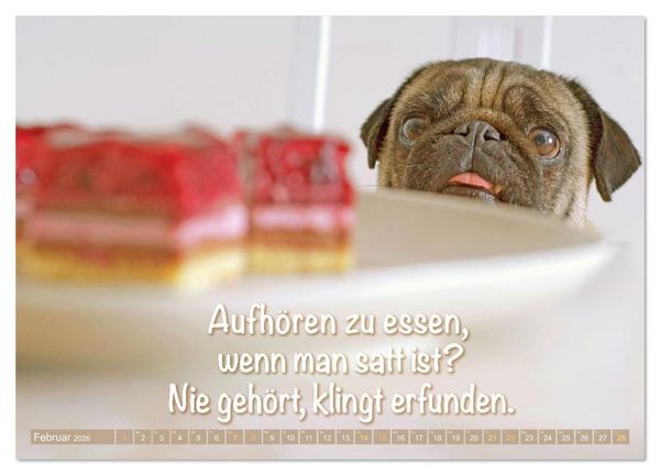 Produktbild: L&auml;cheln mit Mops (Wandkalender 2026 DIN A4 quer), CALVENDO Monatskalender