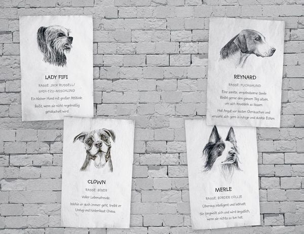Produktbild: Buddy &ndash; Mein Leben als Stra&szlig;enhund