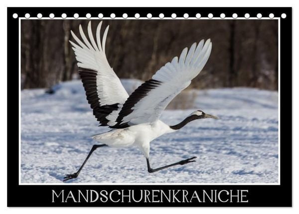 Produktbild: Mandschurenkraniche (Tischkalender 2027 DIN A5 quer), CALVENDO Monatskalender