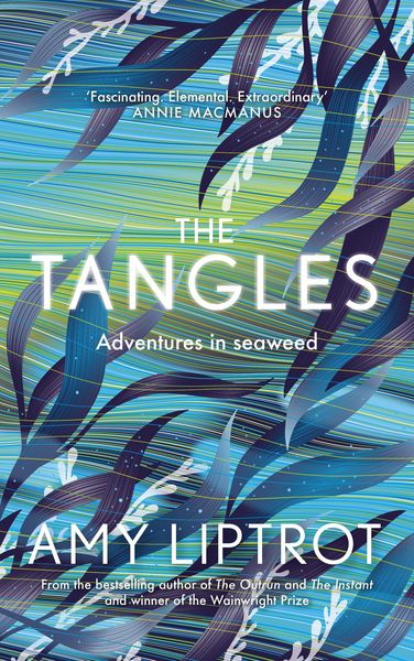 Produktbild: The Tangles