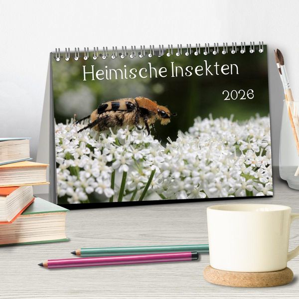 Produktbild: Heimische Insekten 2026 (Tischkalender 2026 DIN A5 quer), CALVENDO Monatskalender