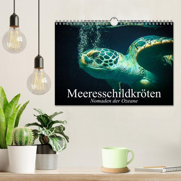 Produktbild: Meeresschildkr&ouml;ten. Nomaden der Ozeane (Wandkalender 2026 DIN A4 quer), CALVENDO Monatskalender