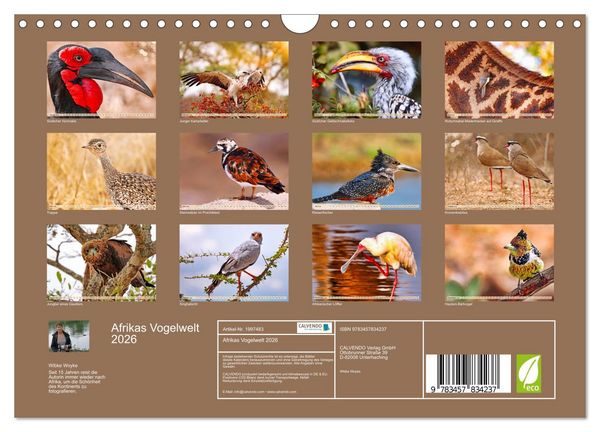 Produktbild: Afrikas Vogelwelt 2026 (Wandkalender 2026 DIN A4 quer), CALVENDO Monatskalender