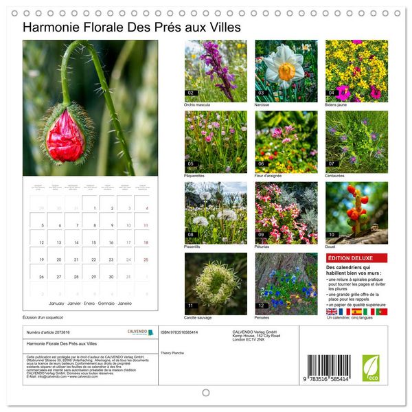 Produktbild: Harmonie Florale Des Pr&eacute;s aux Villes (Calendrier mural carr&eacute; 2026 30x30 cm) Calendrier double avec une page pour vos prises de notes