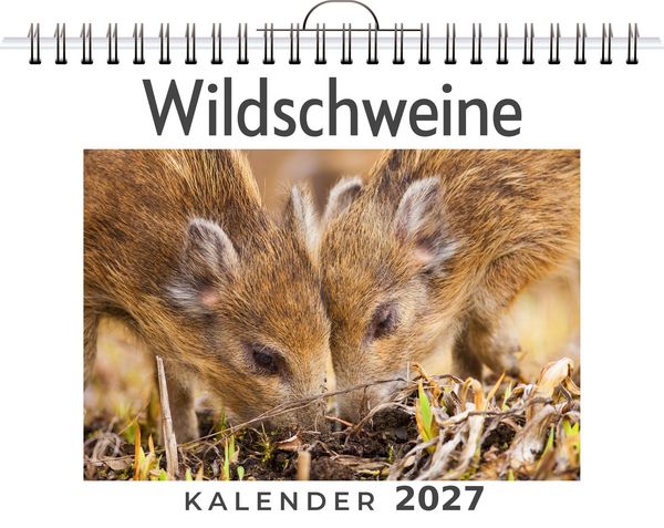 Produktbild: Wildschweine