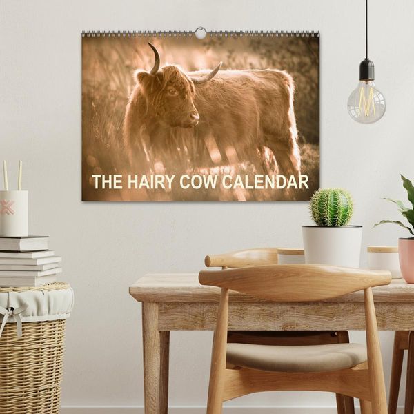 Produktbild: The Hairy Cow Calendar (Wall Calendar 2026 DIN A3 landscape), CALVENDO 12 Month Wall Calendar