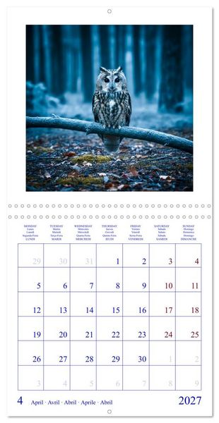 Produktbild: The Forest Fellowship (Wall Calendar 2027 12 &times; 12 Inch) CALVENDO 12 Month Wall Calendar