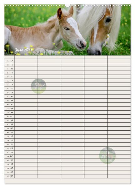 Produktbild: Haflinger Pferde - Stall- und Familienplaner 2026 (hochwertiger Premium Wandkalender 2026 DIN A2 hoch), Kunstdruck in Hochglanz