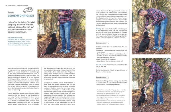 Produktbild: Typgerechtes Welpentraining