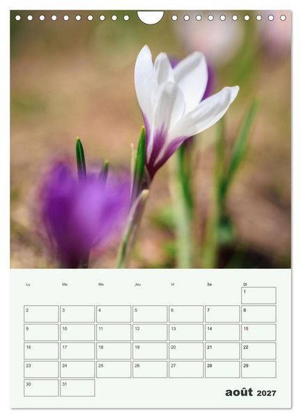 Produktbild: Les fleurs, &eacute;ternelles &eacute;phem&egrave;res (Calendrier mural 2027 DIN A4 horizontal), CALVENDO calendrier mensuel