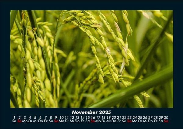 Produktbild: Bilder aus der Natur 2025 Fotokalender DIN A5