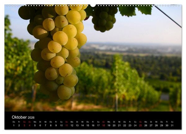 Produktbild: W.EINBLICK (Wandkalender 2026 DIN A2 quer), CALVENDO Monatskalender