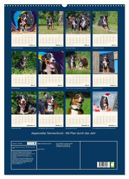 Produktbild: Appenzeller Sennenhund - Mit Plan durch das Jahr (Wandkalender 2026 DIN A2 hoch), CALVENDO Monatskalender