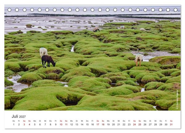 Produktbild: Halbinsel Eiderstedt - Momente der Natur (Tischkalender 2027 DIN A5 quer), CALVENDO Monatskalender