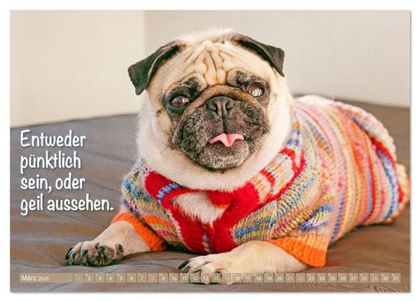 Produktbild: L&auml;cheln mit Mops (Wandkalender 2026 DIN A4 quer), CALVENDO Monatskalender