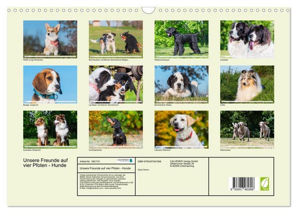 Produktbild: Unsere Freunde auf vier Pfoten - Hunde (Wandkalender 2026 DIN A3 quer), CALVENDO Monatskalender