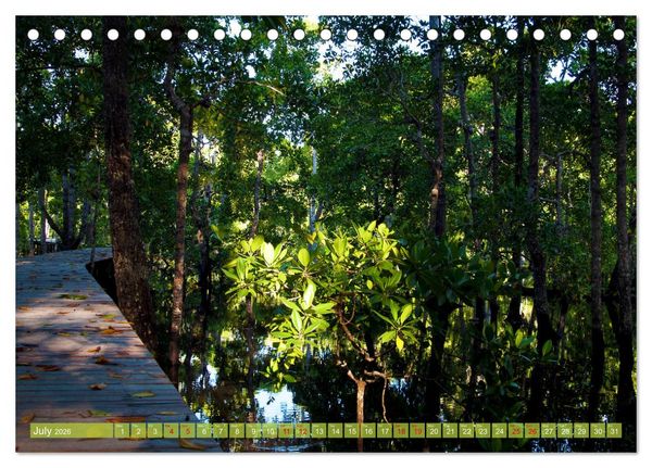 Produktbild: Mangroves - Valuable Habitat (Desk Calendar 2026 DIN A5 landscape), CALVENDO 12 Month DeskCalendar