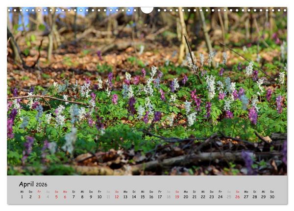 Produktbild: Sehnsucht Natur (Wandkalender 2026 DIN A3 quer), CALVENDO Monatskalender