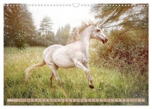 Produktbild: Einhorn Zauber - anmutige Einhornbilder (Wandkalender 2026 DIN A3 quer), CALVENDO Monatskalender