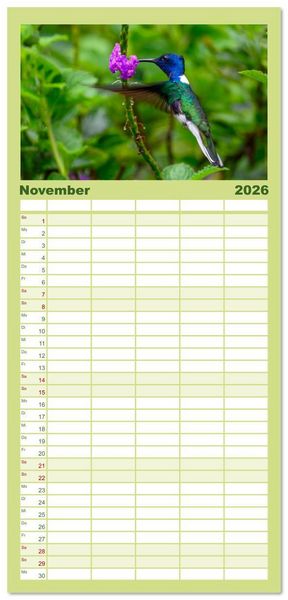 Produktbild: Familienplaner 2026 - Costa Rica - Naturparadies zwischen Karibik und Pazifik mit 5 Spalten (Wandkalender, 21 x 45 cm) CALVENDO