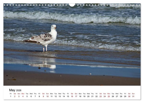 Produktbild: The Sea - A place for dreams (Wall Calendar 2026 DIN A3 landscape), CALVENDO 12 Month Wall Calendar