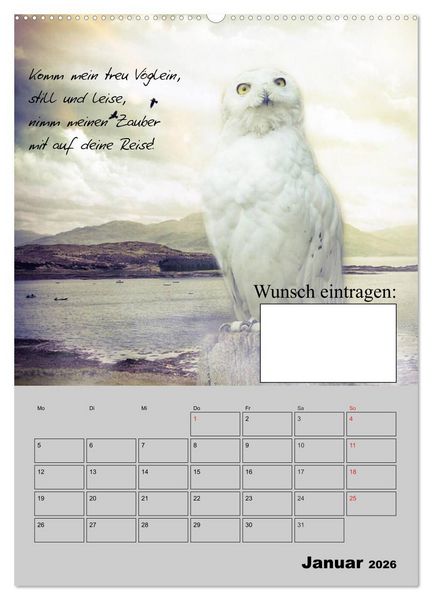 Produktbild: Wunsch- und Zauberkalender (hochwertiger Premium Wandkalender 2026 DIN A2 hoch), Kunstdruck in Hochglanz