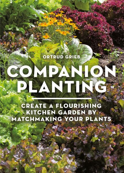 Produktbild: Companion Planting