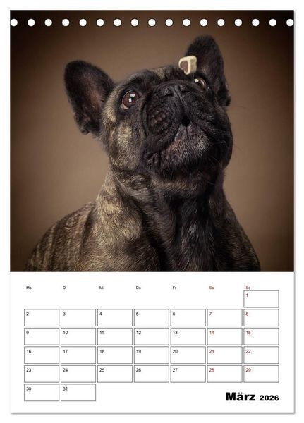 Produktbild: Fang das Leckerli (Tischkalender 2026 DIN A5 hoch), CALVENDO Monatskalender