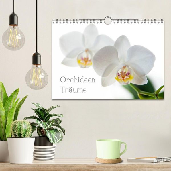 Produktbild: Orchideen Tr&auml;ume (Wandkalender 2026 DIN A4 quer), CALVENDO Monatskalender